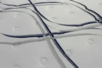 Artesa Dreams Euro Pillow Top Mattress - Image 14