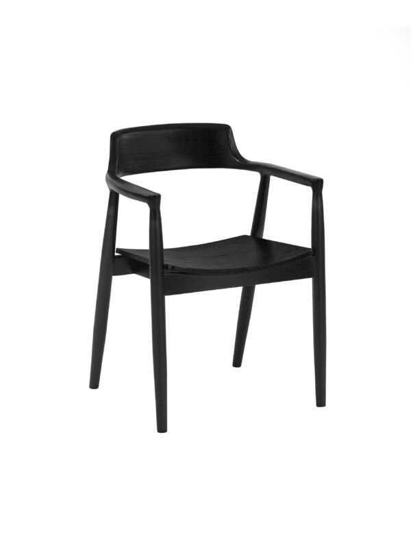 Set of 2 Franklin Dining Chair with Arms - Image 4