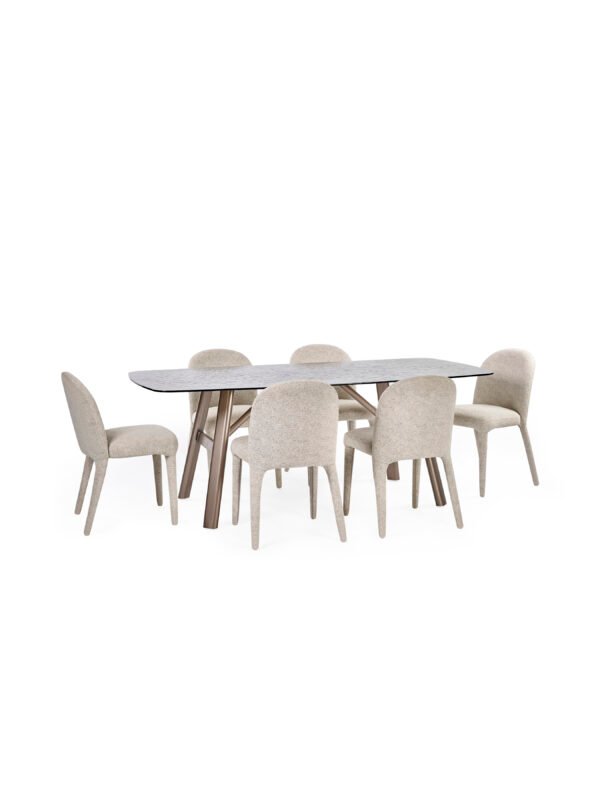 Holly Fully Upholstered Dining Chair (Set of 2) - Image 13