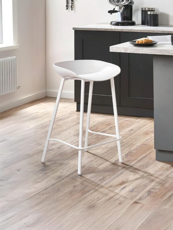 Renzo Plastic Bar Stool (Set of 2)
