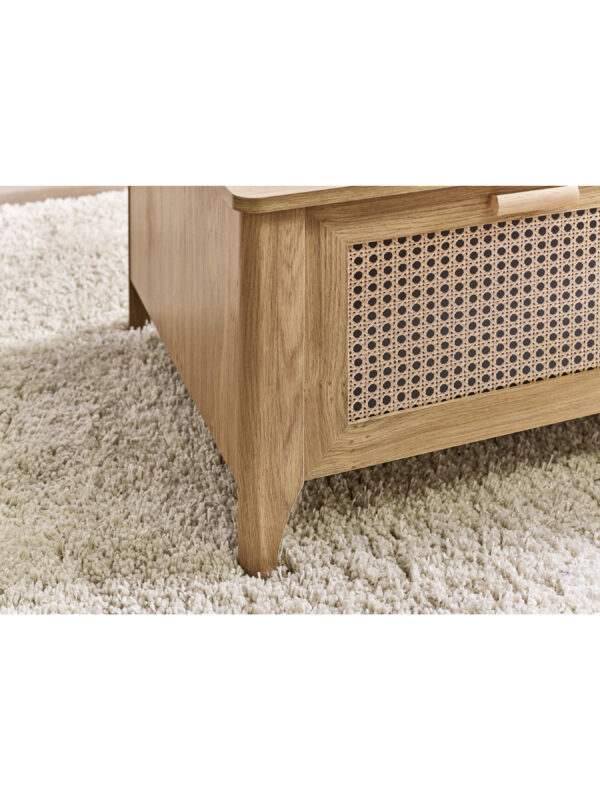 Sydney Rattan Print 2 Drawer Coffee Table - Oak Effect - Image 7