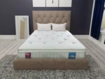 Sareer Aero Gravity Latex Pocket Pillow Top Mattress
