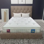 Sareer Aero Gravity Latex Pocket Pillow Top Mattress