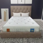 Sareer Aero Gravity Memory Coil Pillow Top Mattress