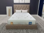 Sareer Aero Gravity Pocket Memory Pillow Top Mattress