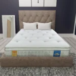 Sareer Aero Gravity Reflex Plus Coil Pillow Top Mattress