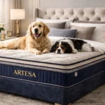 Artesa Dreams Euro Pillow Top Mattress