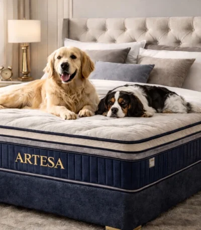 Artesa Dreams Euro Pillow Top Mattress