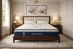 Artesa Dreams Euro Pillow Top Mattress