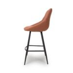 Burford Bar Stool (Set of 2)