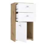Best Chest Storage Cabinet 2 Drawers 1 Door