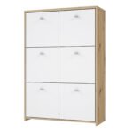 Best Chest Storage Cabinet with 6 Doors