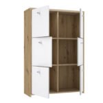 Best Chest Storage Cabinet with 6 Doors