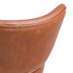 Cazar Lounge Chair in Brown