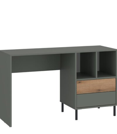 Darwin Desk 2 Drawer in Green/Oak