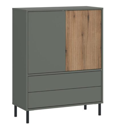 Darwin Sideboard 2 Door 2 Drawer in Green/Oak