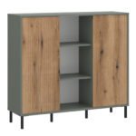 Darwin Sideboard 2 Door in Green/Oak