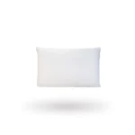 Eco Earth Recycled Pair of Pillows