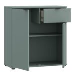Ganymede 2 Door Cupboard with Drawer