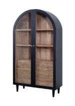 Iconic Black 2 Door Glass Cabinet
