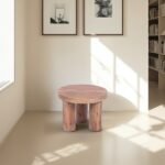 Mango Wood 60cm Coffee Table