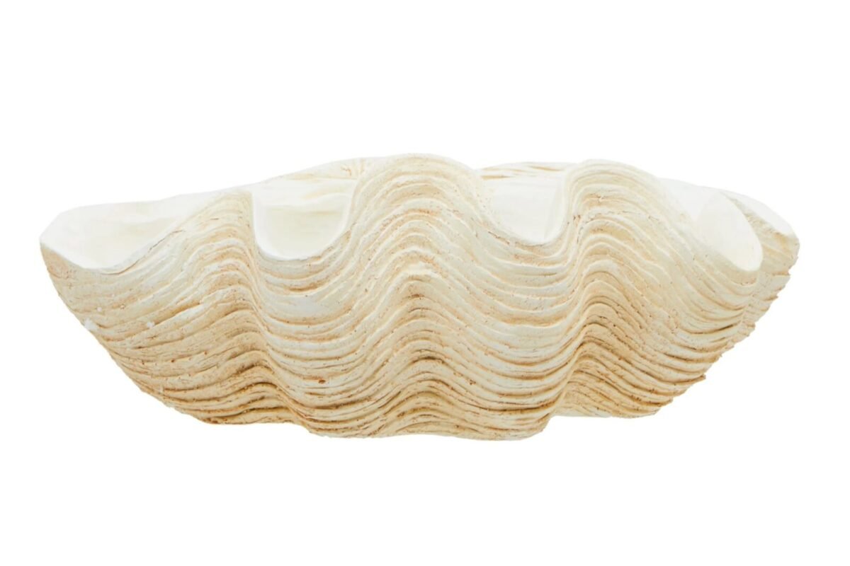 Soay Large Clam Shell Bowl