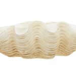 Soay Large Clam Shell Bowl