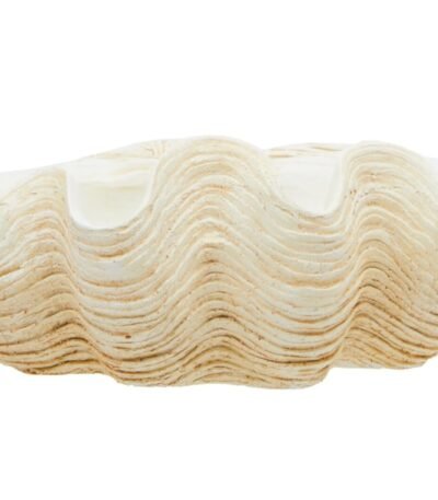 Soay Large Clam Shell Bowl