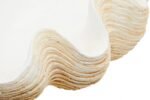 Soay Large Clam Shell Bowl