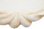 Soay Large Clam Shell Bowl