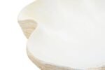 Soay Large Clam Shell Bowl